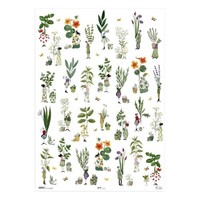 *Daniela Drescher*Geschenkpapier 50 X 70Cm*KräUtergarten*