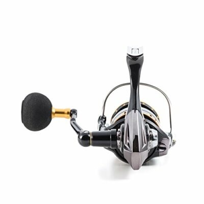 Abu Garcia (Spinning reel OCEANFILD 2500H | eBay