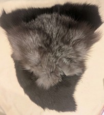 LOT OF SILVER FOX FUR PELT PIECE BLACK FOX FUR 80