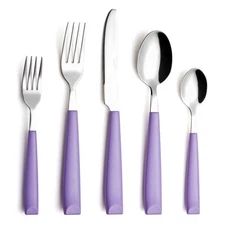 ANNOVA Silverware Set 20 Pieces Stainless Steel Cutlery Color Handle Flatware...