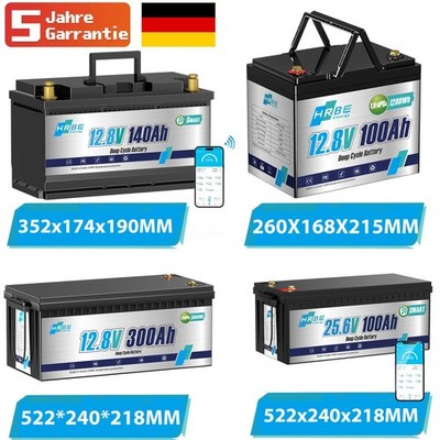 Lithium Batterie 300Ah 12V LiFePO4 Akku BMS 10000+ Zyklen Wohnmobil Solaranlage