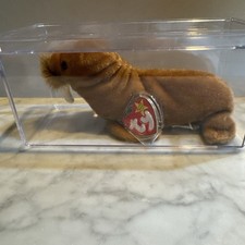 Paul The walrus TY Beanie Baby 2-23-99 VINTAGE NEW WITH TAG And Plastic Box.