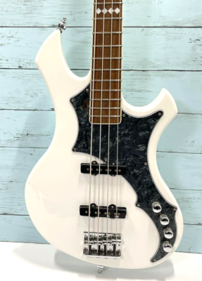 EDWARDS E-RF-137SL the GazettE REITAモデル