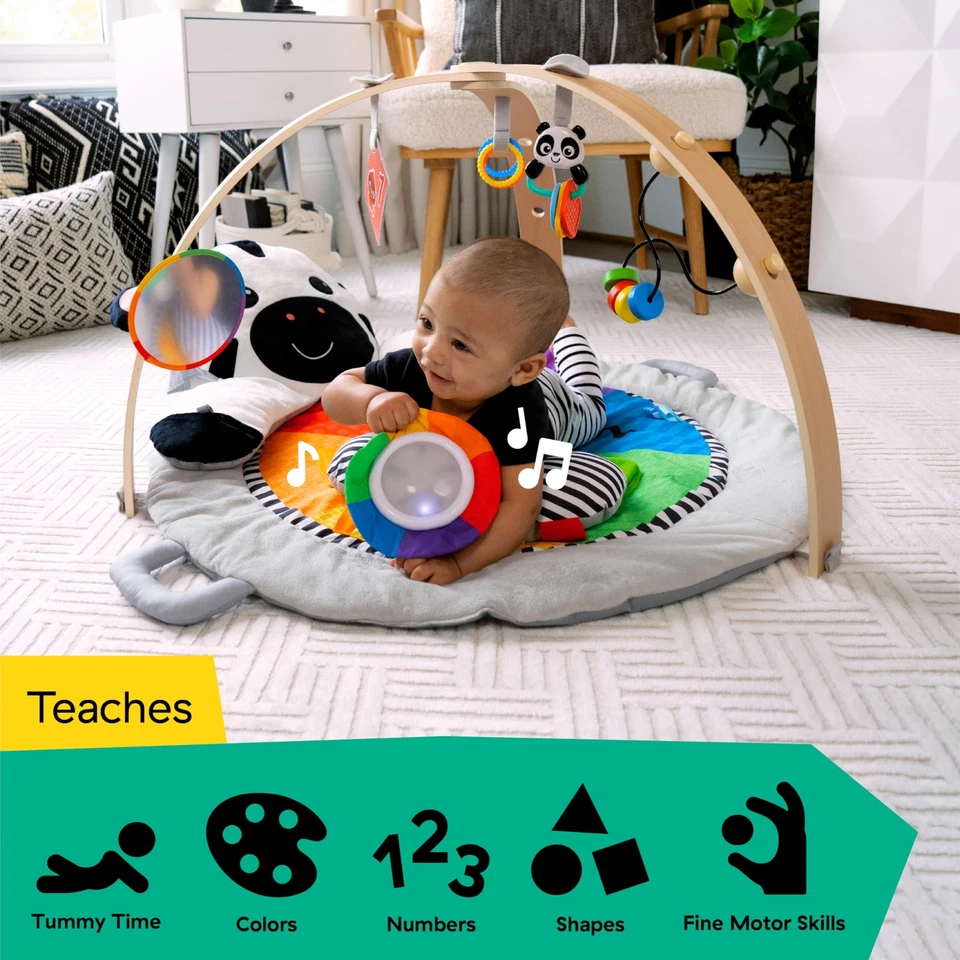 Academia de pelúcia Baby Einstein Zen Activity Milestones para crescimento infantil 0-12 meses - Imagem 4 de 4