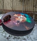Bild 7 von 16