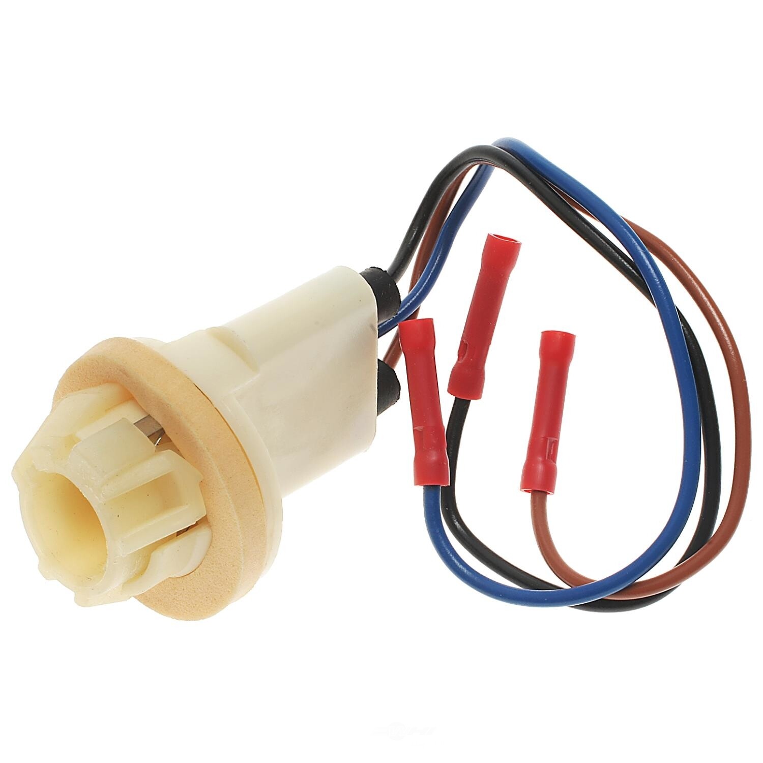 Parking Light Socket Standard Motor Products S520 | eBay