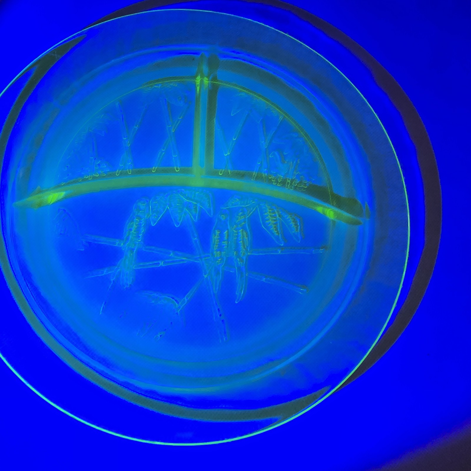 Hazel Atlas Parrot Uranium Glass Divided Grill Plates 1930s Depression Glow
