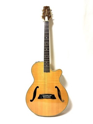 Electric Acoustic Guitar Takamine NPT-115 F-hole by Nagabuchi