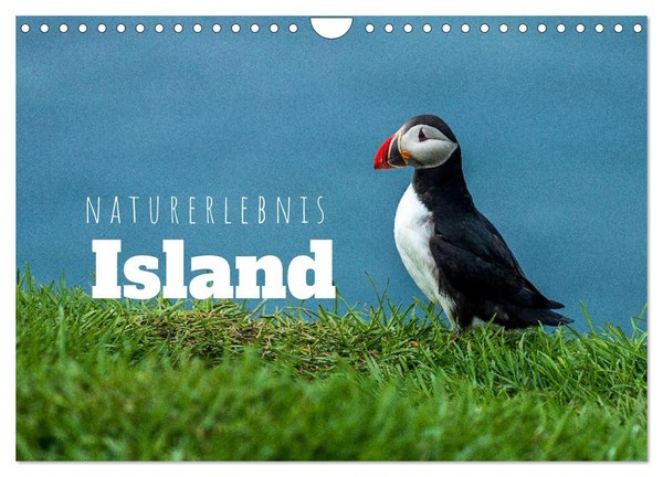 "Calendar 2027 · US Version · Nature Experience Iceland (Wall Calendar 2027 12\" ×"-image