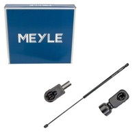 Meyle Haubenlifter MotorhaubendäMpfer FüR VW Passat 3C2 3C5 B6 3C0823359A