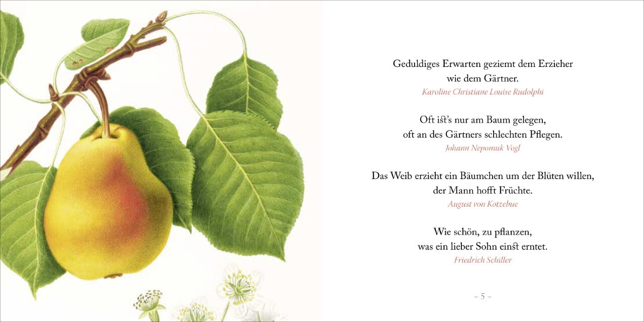 Thumbnail - Weise Gehen In Den Garten9783941683815