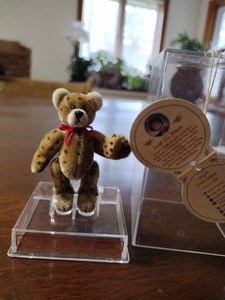 Gund  Miniature" Chip Loves Cookies" Jointed Bear 2.5" Tall With Clear Case