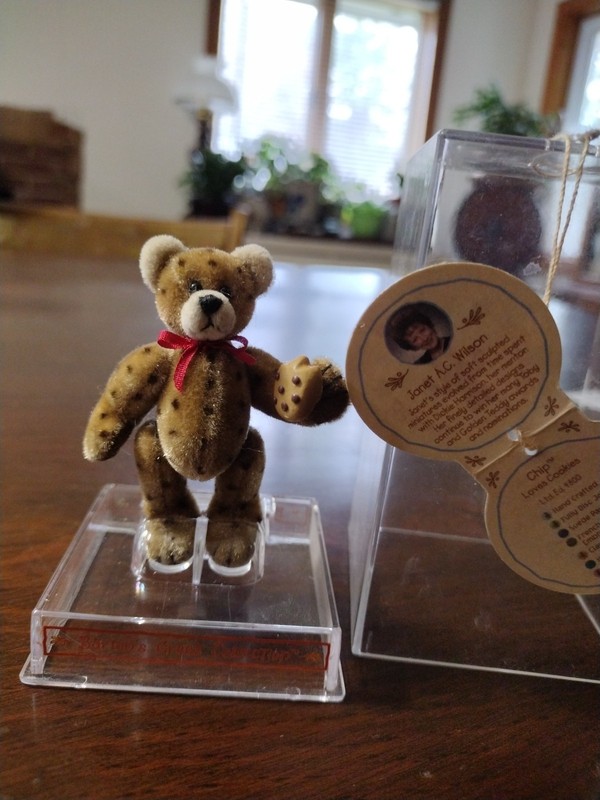 Gund  Miniature" Chip Loves Cookies" Jointed Bear 2.5" Tall With Clear Case