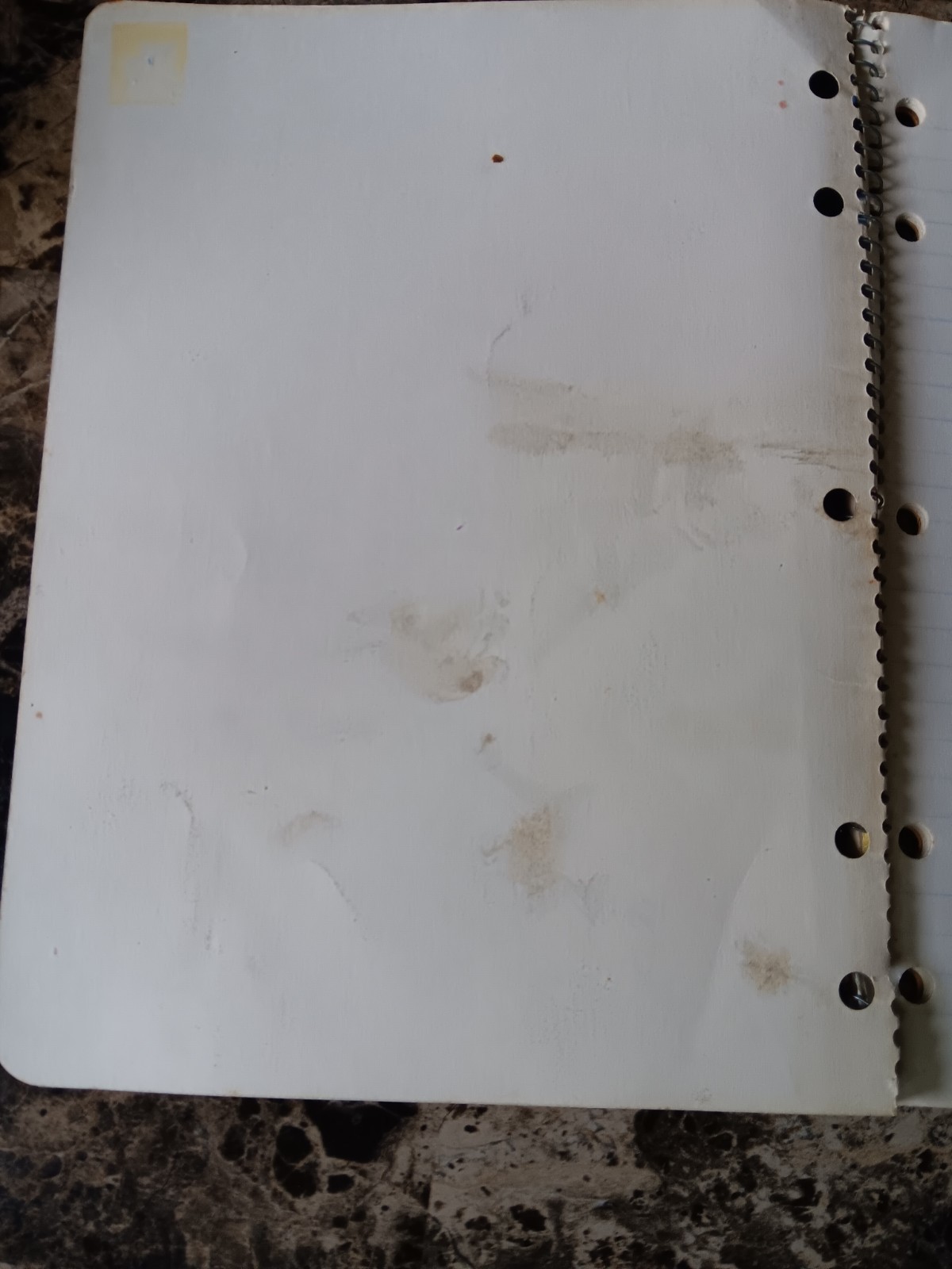 Picture 3 of 16