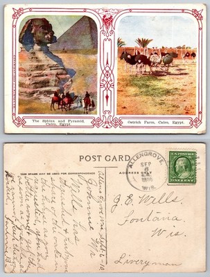 Cairo Egypt Sphinx Pyramid Ostrich Farm Postcard