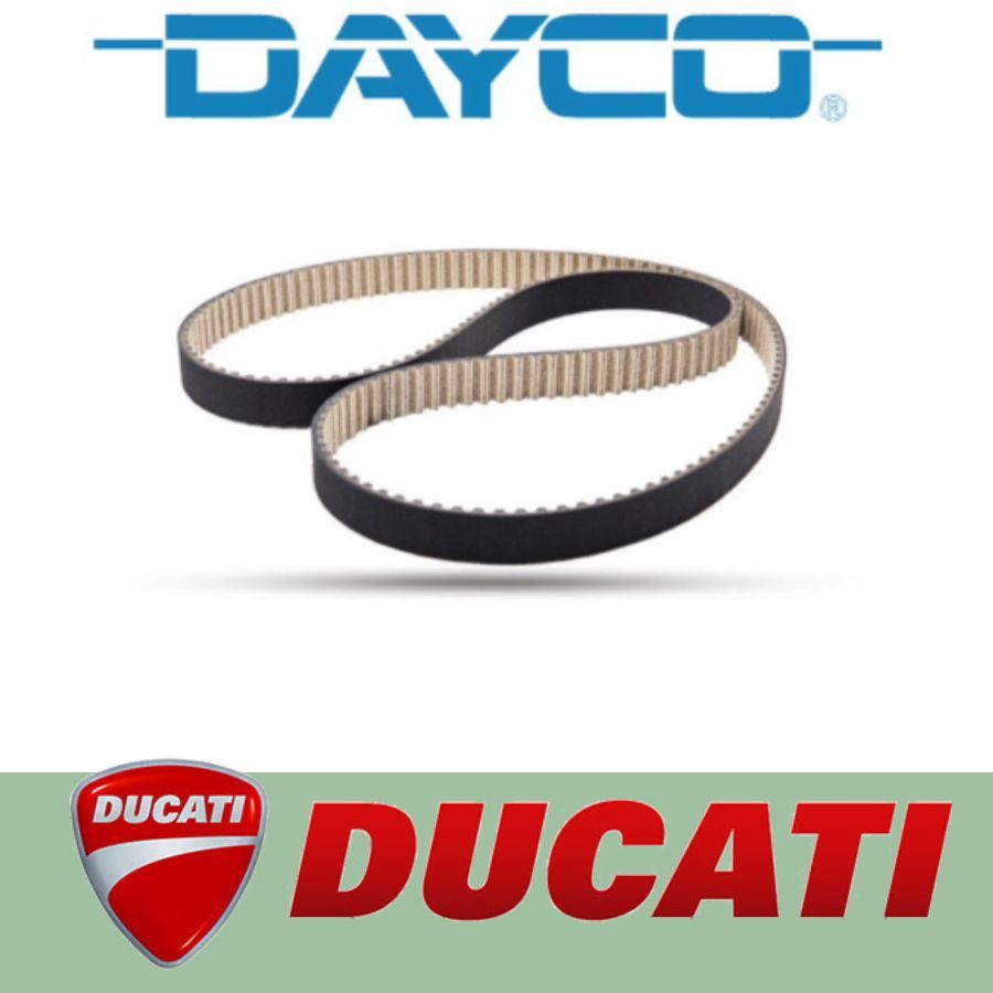ducati 996 timing belts