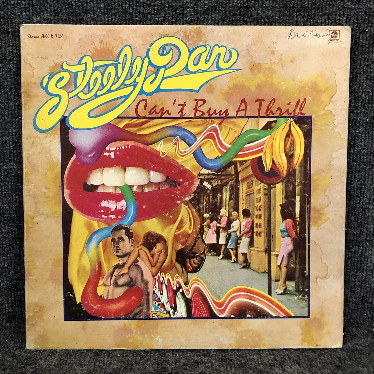 洋楽 Steely Dan Can't Buy A Thrill LP STEELY DAN Can't Buy A Thrill ABC LP Vinyl Record Gatefold ABCX