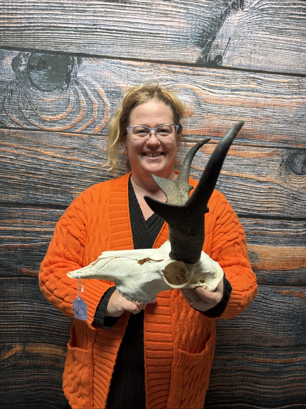 Pronghorn Antelope Skull Animal Mount Cabin Western Yard Decor Head Art Craft