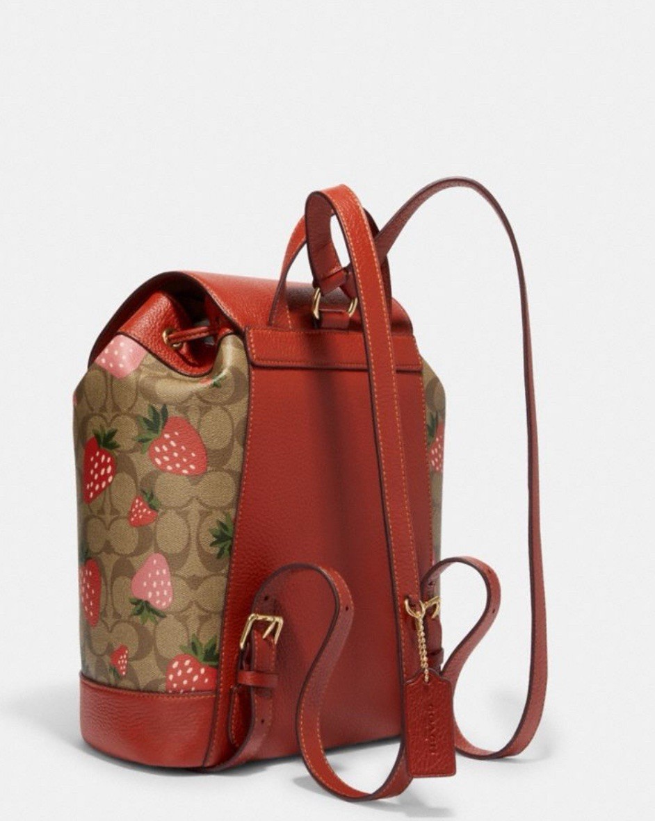 NWT Coach Dempsey Court Backpack With Wild Strawberry Print CH326