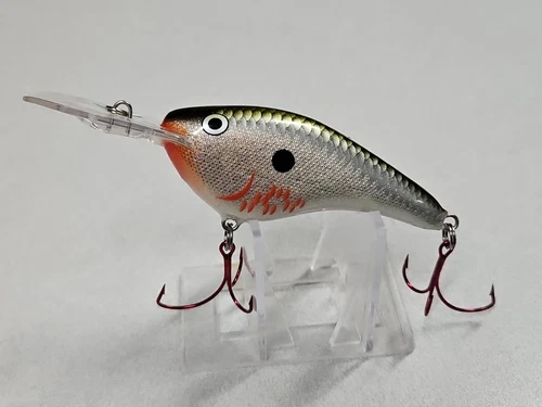 Discontinued Rapala DT-FLAT 9...DTFSS-9...Bleeding Olive Shiner...Tough!!!