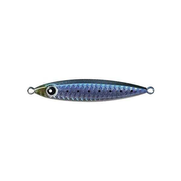 Buddy Works Right8 30g RIW Real Iwashi Metal Jig From Stylish anglers Japan FS