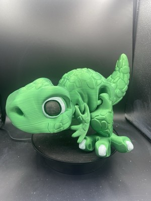 Allosaurus Flexi Dinosaur!