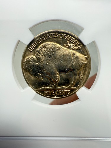 1938 D/D Buffalo Nickel 5C MS 67 NCG - Gold Tones - Picture 5 of 6