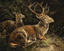 Antique Deer Painting Reproduction Giclee Print on Fine Art Paper
