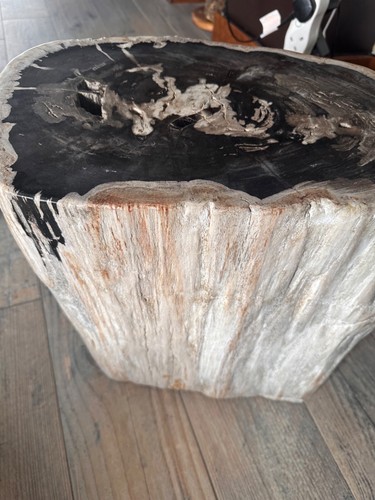 Fossilised Tree Trunk 100kg Petrified Wood Fossil Tree Trunk Table - Picture 8 of 24