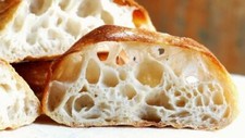 FRESH SOURDOUGH STARTER yeast San Francisco THE BEAST 10 starters in 1 fresh z