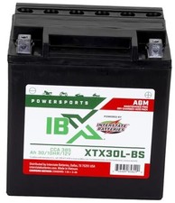12V 30Ah Powersports Battery 385CCA AGM Rechargeable Replacement YTX30L-BS