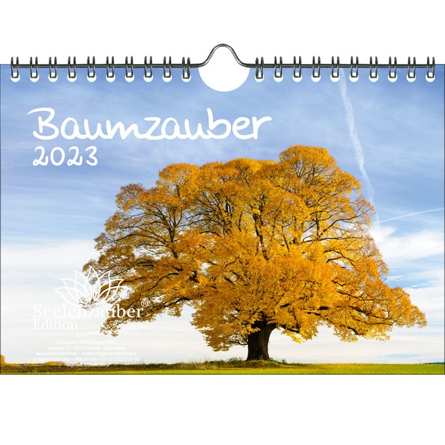 Baumzauber DIN A5 Wandkalender für 2023 Baum Bäume und Wald - Seelenzauber Baumzauber DIN A5 Wandkalender für 2023 Baum Bäume und Wald - Seelenzauber