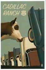 Cadillac Ranch, Route 66, Amarillo Texas, Cow, Travel, Road Americana - Postcard