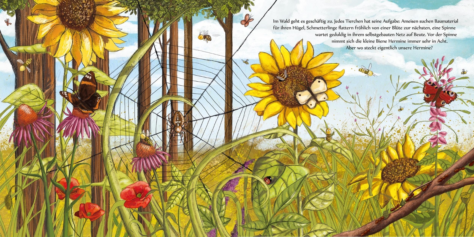 Thumbnail - Kleine Biene Hermine, Wo Bist Du Zu Haus? | Andrea Reitmeyer | Buch |