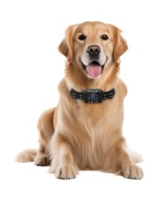 Furthrive GPS Dog Collar, Wireless Dog Fence 100  3280 ft Circular Boundary
