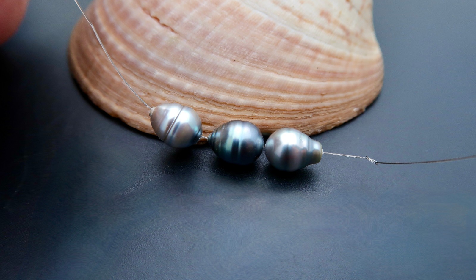 Bild 8 von 8