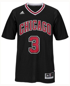 dwyane wade bulls jersey