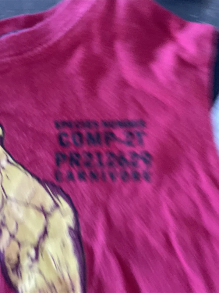 Jurassic World Juvenil Niños Jurassic World T-Rex Dinosaurio Camiseta Roja dc7 Foto 2 de 3