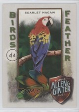 2021 Topps Allen & Ginter's Birds of a Feather Scarlet Macaw #BOF-3 0wk9