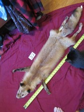 Garment tanned red fox pelt with feet claws thick winter fur nice coloring