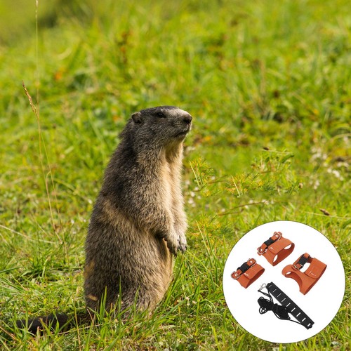  Harnais Animalin De Chinchilla Petite Laisse Pour Animaux Compagnie - Zdjęcie 7 z 17