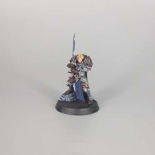 Emelda Braskov AoS Warhammer Quest Cursed City Captain. D&D - Pintado - Imagen 2 de 15