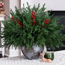 15 PCS Norfolk Pine Stems with Red Berries Branches,19 Inch Christmas Real To...