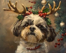 8x10 Matte Print Shih Tzu in Reindeer Antlers & Mistletoe