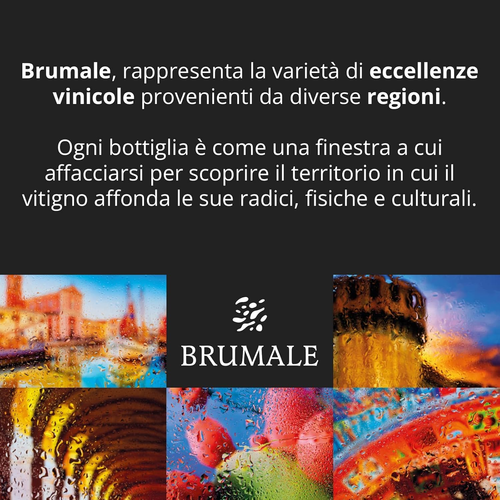 Brumale - Vino Rosso Nero D'Avola Sicilia DOC - Bottiglia Da 750 Ml - Foto 4 di 6