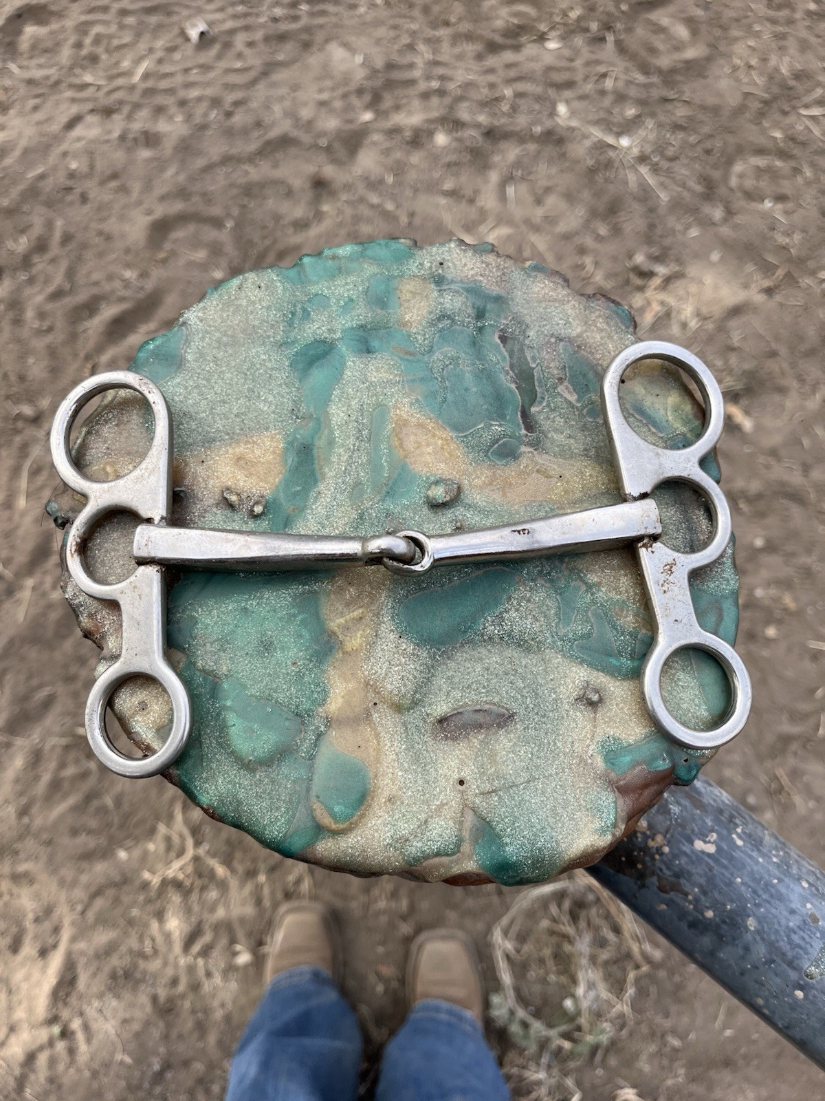 Snaffle Reining Horse Bit