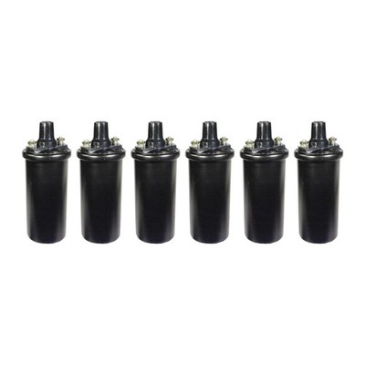 Set of 6 ACDelco Ignition Coil U505 for Ford F150, E150