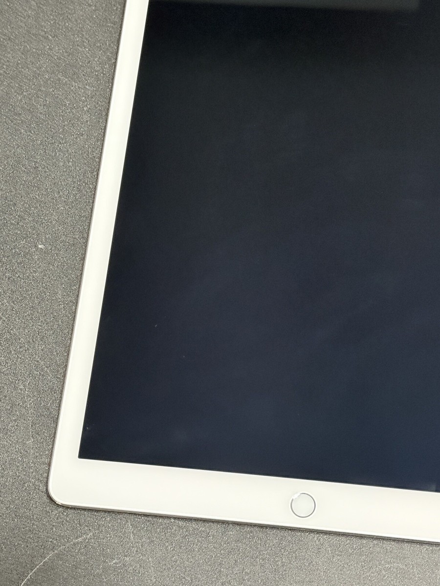 iPad Pro 12.9インチ　A1584 128GB Apple iPad Pro 12.9 128GB WiFi A1584 Silver Gray Tablet