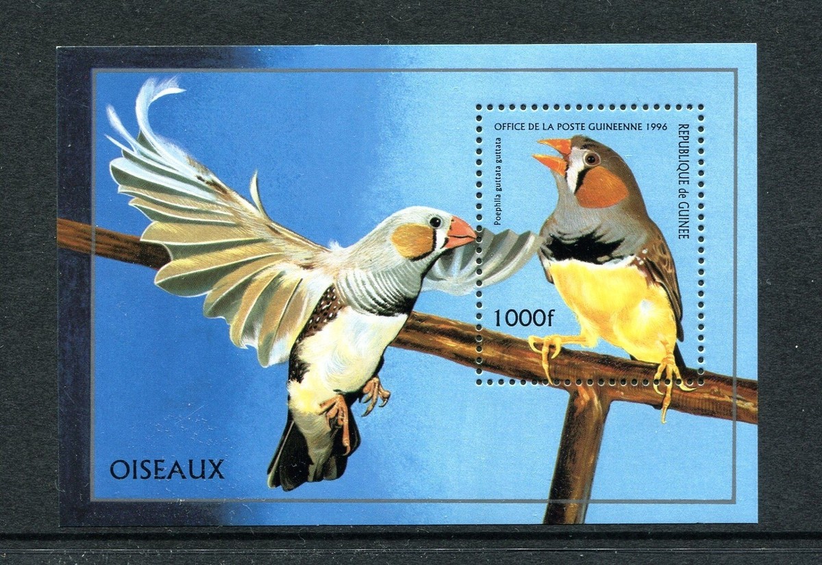 Guinea 1374 MNH, Birds Zebra Finch 1996 x20188 | eBay
