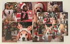 PERFECTLY PUZZLING PUZZLE ‘CHRISTMAS DOG PUZZLE” 1000 PIECES COMPLETE — photo 3